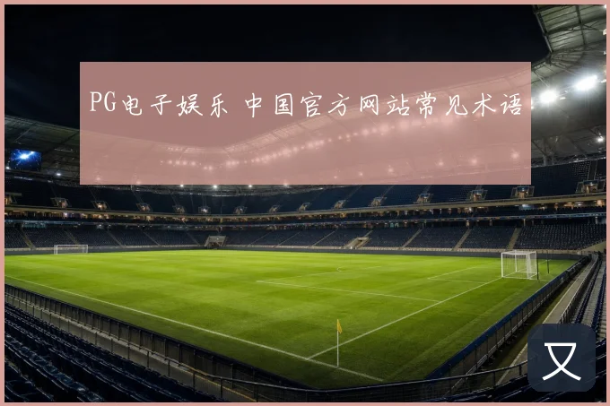 PG电子娱乐 中国官方网站常见术语